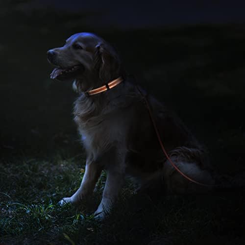 צווארון כלבים רפלקטיבי וצווארון שרשרת מרטינגייל - צרור לילד כלב קטן, ילדה או גור - 12-16 אינץ 'בכושר