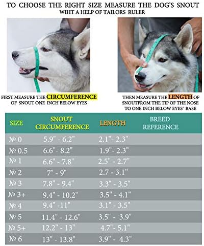 רצועות עור מתכתיות של כרום כרום כלב מתכווננות רצועות עור מתכווננות היקף הוא 14. ואורך 5.1in