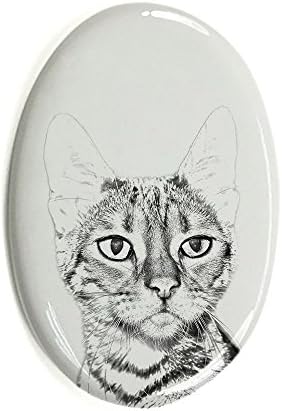 ארט דוג, מ.מ. חתול טויגר, מצבה סגלגלה מאריחי קרמיקה עם תמונה של חתול