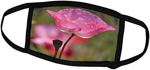 3 רוז נ. ב. פרחים-פרח פרג ורוד יפהפה בהשראת פרחים-מסכות פנים