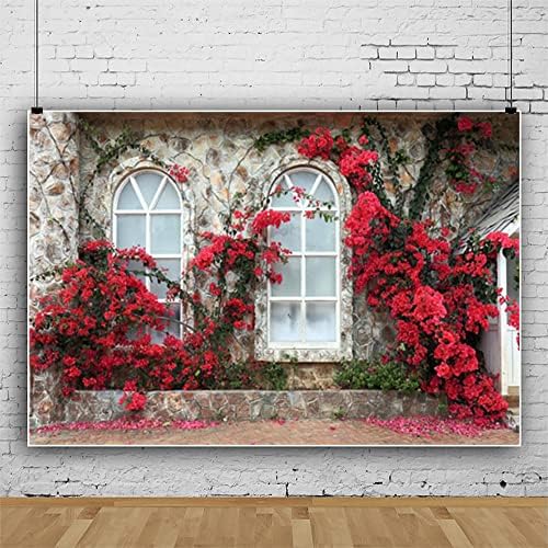 20 על 10 רגל רומנטי אדום פריחת רקע איטליה סגנון חלונות בית אבן קיר ירוק גפן צילום רקע זוגות אישה חתונה