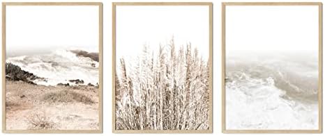 הדפסי אמנות קיר טבע סט של 3, תמונות הדפס בוטניות, צמח פרחים מיובש של ריד פמסה ופוסטר חוף הדפס