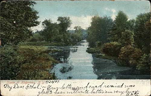 סצנת נהר האגמן, ניו יורק ניו יורק גלויה עתיקה מקורית 1907