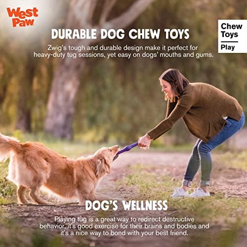 West Paw Zogoflex Echo Zwig Sweez Dog Stick Stick - קופצני, חלול, צעצוע אינטראקטיבי מעוך לגורים,