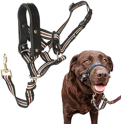 כיסוי ראש כלבים של אלפא בוי-הלטר כלבים נוח ועדין לכל הגזעים-קל לשימוש ראש כלב-רצועת עור אמיתית-רתמת כלב מקשה