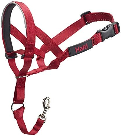 Collar Collar Dogs Halti - אדום - גודל 4
