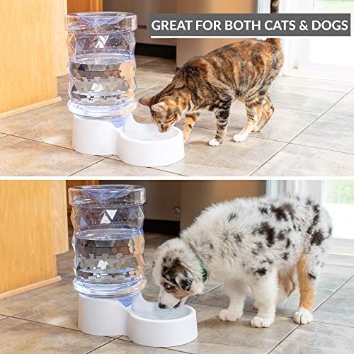 מתקן מים לחיות מחמד עם פיוז ' ן ח2או. עמיד 2.5 גלון מים מזין. תחנת מים אוטומטית לחתולים וכלבים