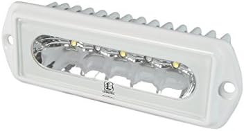 Lumitec capri2 LED LED אור שיטפון, הרכבה סומק, צבע כפול, בית מעיל אבקה
