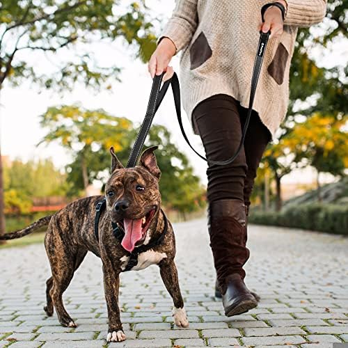 רצועת כלבים כבדה של פטיפין 4 רגל עם ידית כפולה מרופדת רכה, רצועות כלב עם אבזם חזק עמיד, עופרת הליכה מניילון