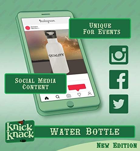 מתנות Knick Knack WaterBeetle - בקבוק מים נירוסטה 20oz, כסף