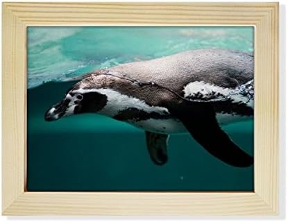Diythinker אורגניזם ימי לוויתן חיה של חיה שולחן עבודה שולחן עבודה מסגרת תמונה קישוט קישוט ציור 6x8