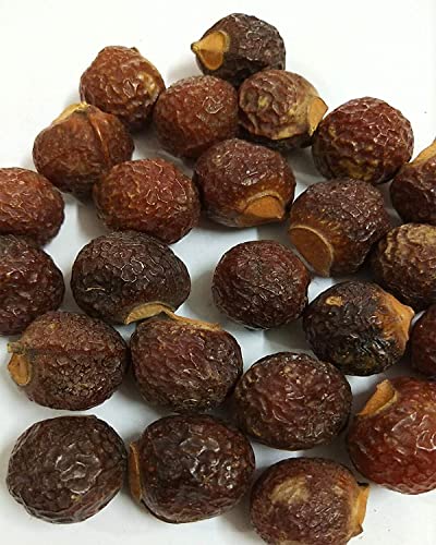 Aritha reetha אגוזי סבון, גרגרי סבון, Kunkudukaialu, Sapindus mukorossi, אגוזי ספונין טבעיים טהורים