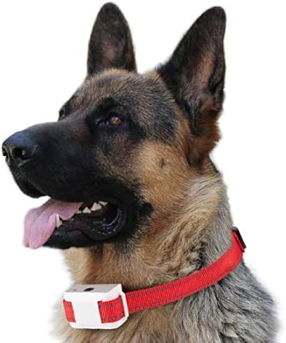 ריסוס ציטרונלה יכול למלא מחדש לצווארוני בקרת קליפת קליפות ריסוס ציטרונלה ריסוס לכלבים ריסוס סיטרונלה PET יכול