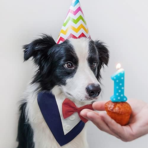 טוקסידו כלב פואמי, צווארון כלב בנדנה לחתונה רשמית עם עניבת פרפר תחפושת יום הולדת לכלב מתכוונן מסיבת חיות מחמד
