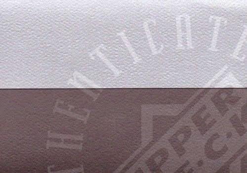 מייקל ג'ורדן ולארי בירד חתימה/חתום בכדורסל זהב רשמי מותך - מהדורה מוגבלת של 100 - UDA