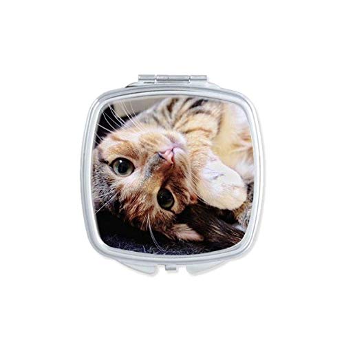 פסים קיטי חתול להירגע בעלי החיים מקסים מראה נייד קומפקטי כיס איפור כפול צדדי זכוכית