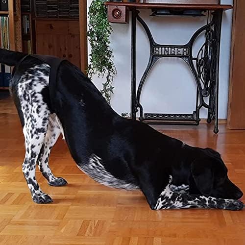 הונפרד נקבה כלב לשימוש חוזר רחיץ פיסיולוגי סניטרי צפצף לעטוף תחתוני עבור קטן בינוני וגדול כלבים