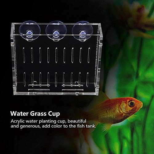 אקווריום שתילת כוס אקריליק דגי טנק מים צמחים המטע אקווריום צמח מים דשא כוס נוף צמחים טיפוח אגן כוס