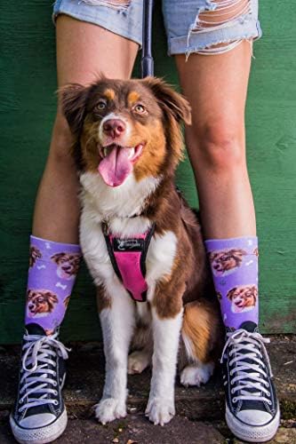 גרבי Divvyup - גרבי כלבים בהתאמה אישית - הניחו את הכלב שלכם על גרביים!