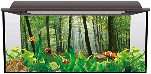 T & H קישוט אקווריום ביתי - 60.8 W x 24.4 H אספקת חיות מחמד עם נושא טבעי - שקיעה ביער שמש קורן דרך