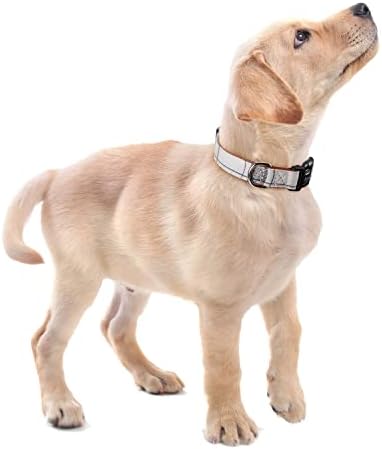 צווארון כלבי כותנה של פאללה עם אבזם נעילת בטיחות, עור רך מרופד, צווארון מתכוונן לכלבים גדולים