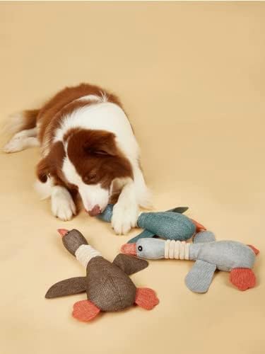 דנרה - צעצוע של כלב קמטים לקטיפה לגזעים קטנים, בינוניים וגדולים, חמודים עם חריקת רכה, כיף לגורים