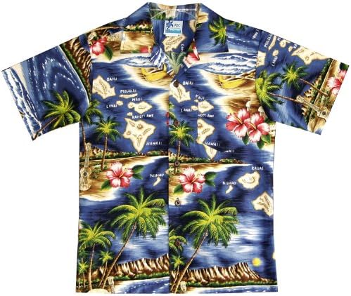 חולצת הוואי של היביסקוס של הילד