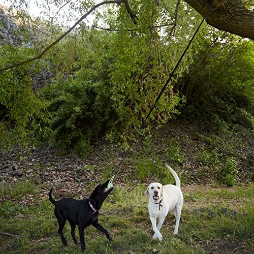 Tumbo Tugger - עץ כלב תלוי בנג'י טוג צעצוע לתרגיל - חוט משחק חיצוני וגרירה - משיכת עץ מוט אביב חבל חבל
