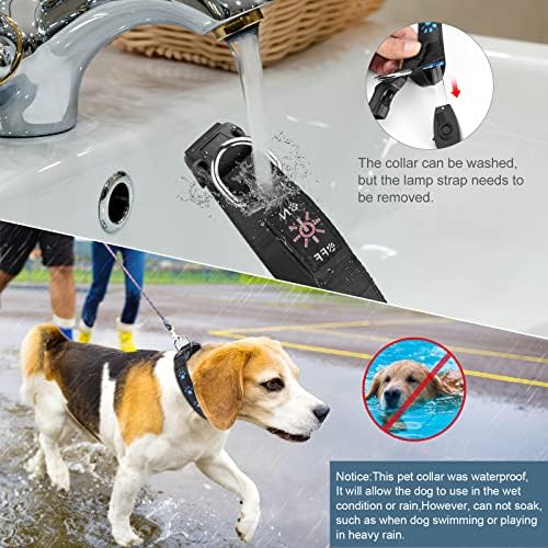 צווארון כלבי LED החדש ביותר, צווארונים נטענים נטענים, 3 מצבים אורות כלבים אטומים למים, הפוך את חיית המחמד