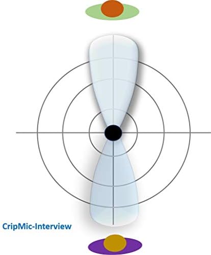 ראיון קריספמי: מיקרופון מערך יו. אס. בי המופעל על ידי בינה מלאכותית עם ביטול רעשים בתוספת הפחתת רעשים