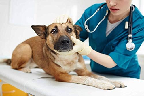 גירוד הקלה כלבים-הטוב ביותר כלב אלרגיה הקלה - להיפטר גירוד-תמיכה חיסונית-לועס-כלב כורכום תוספת-250 פינוקים
