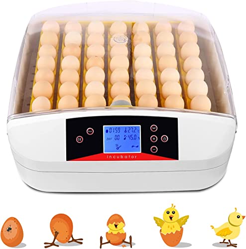ביצת חממה באופן מלא אוטומטי חממה, 55 ביצים אינטליגנטי דיגיטלי חממה עם טמפרטורת תצוגת ולחות בקרת עוף ברווז