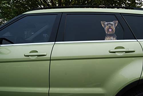 ריאליסטי לראות דרך Lifesize מדבקות כלבים חיצוניים עמידים לרכב, בית, חלון עסקים - יורקשייר טרייר