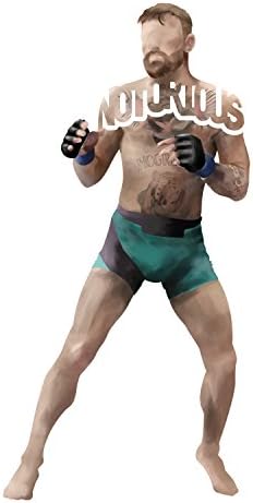 CantedEdesigns Conor McGregor Stighter MMA לוחם מדבקות מדבקה של אירלנד למחשב נייד או לכל משטח שטוח